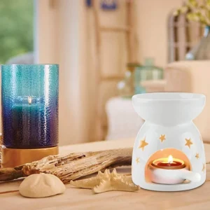 Ceramic Wax Melter